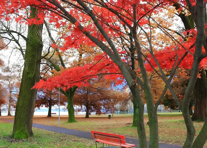 Center - Free Parking, Netflix And Wi-fi Locarno