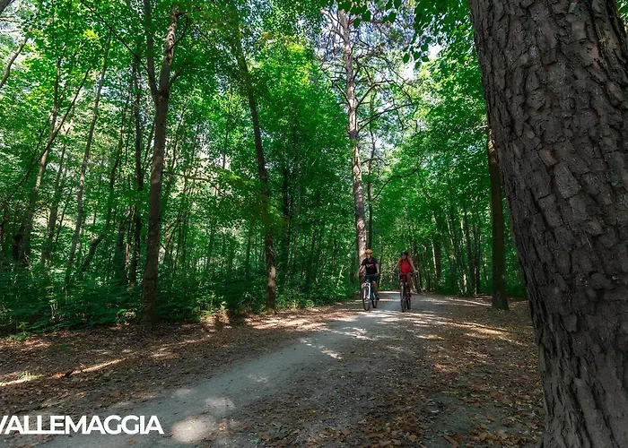Center - Free Parking, Netflix And Wi-fi Apartmán Locarno